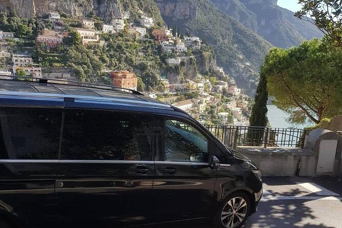 Private day tour to Pompei ,winery, Sorrento from Napoli/Salerno/Amalfi/Positano - Who should book this private day trip