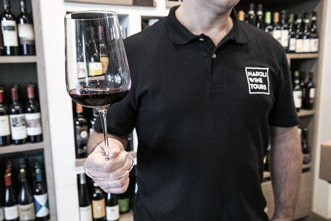 Private Evening Campania Felix Wine Tasting Evening in Naples - Who this private wine night suits best