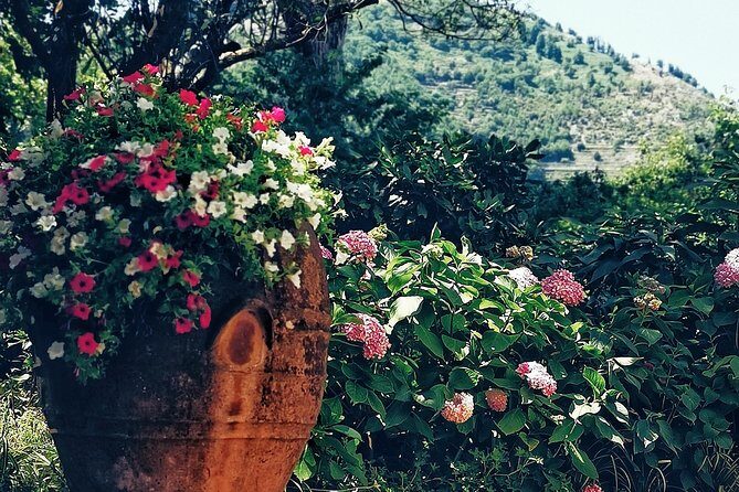 Private full day tour to Capri with grottos - Marina Grande: The Island Stop That Lets You Breathe