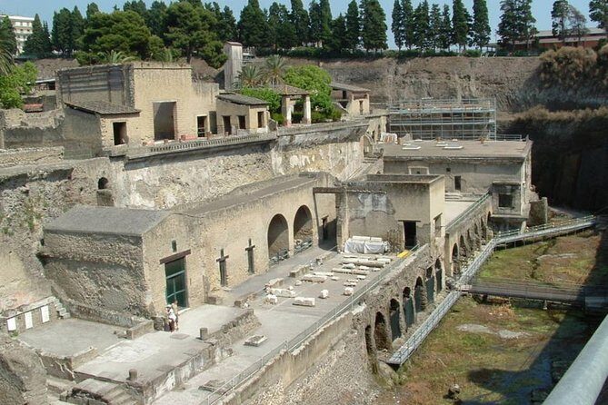 Private Full-Day Tour to Pompeii and Mt. Vesuvius with Winery Visit - Practical Tips That Make This Day Feel Effortless