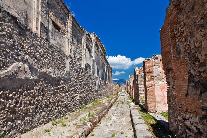 Private Guided Tour in Pompeii - Price and value: $168.03 for a private day that’s not trying to upsell you