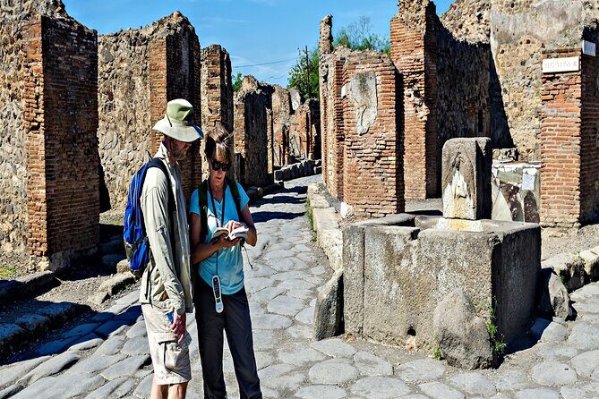 Private Guided Tour in Pompeii - Where you meet in Naples: Starhotels Terminus or Molo Beverello