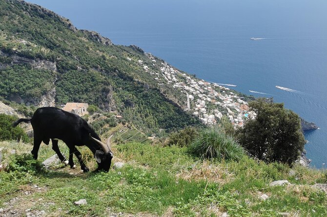 Private Guided Tour to the Path of the Gods - Half day - Breaks and Small Comforts: Water and Coffee/Tea During a View-Heavy Hike