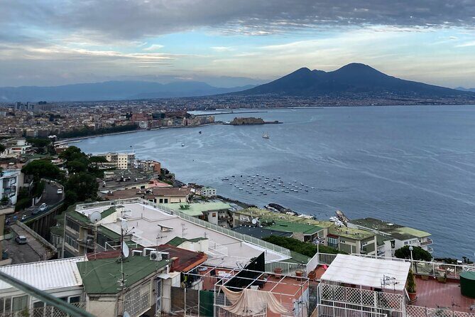 Private Half-Day Sightseeing Tour of Vesuvius National Park - Why a private half-day to Vesuvius makes sense from Naples
