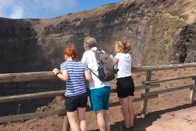 Private Half-Day Sightseeing Tour of Vesuvius National Park - Who this private Vesuvius tour is best for