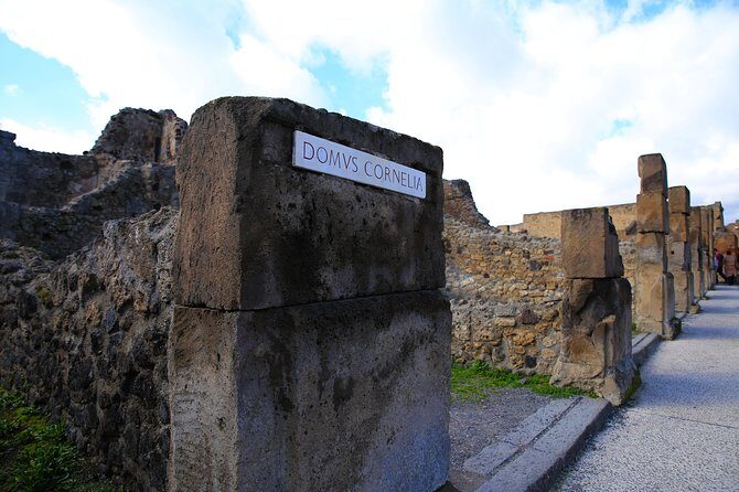 Private Half-Day Tour of The Pompeii Ruins Highlights and Mann - Start point, end point, and the one logistics wrinkle