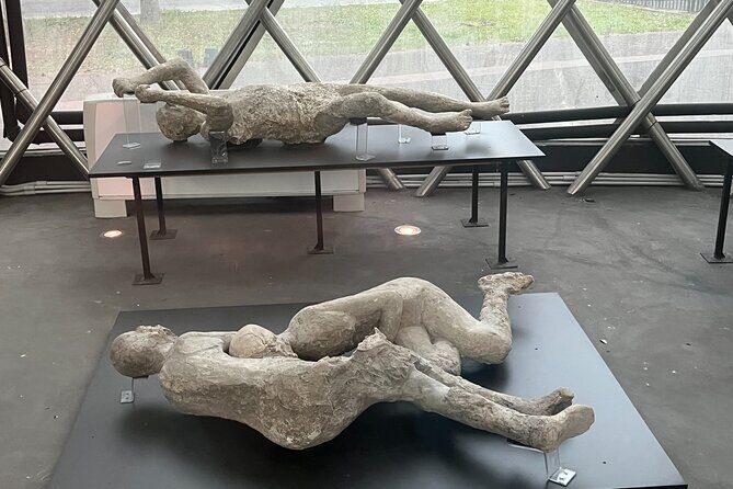 Private Half Day Tour to the Ruins of Pompeii - The optional lunch and Vesuvius wine add-on (and how it changes your timeline)