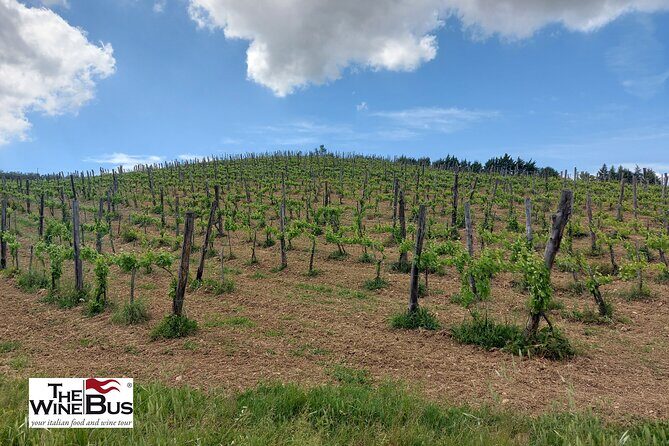 Private Irpinia Wine Tour from NAPLES with sommelier - Key highlights you’ll feel right away