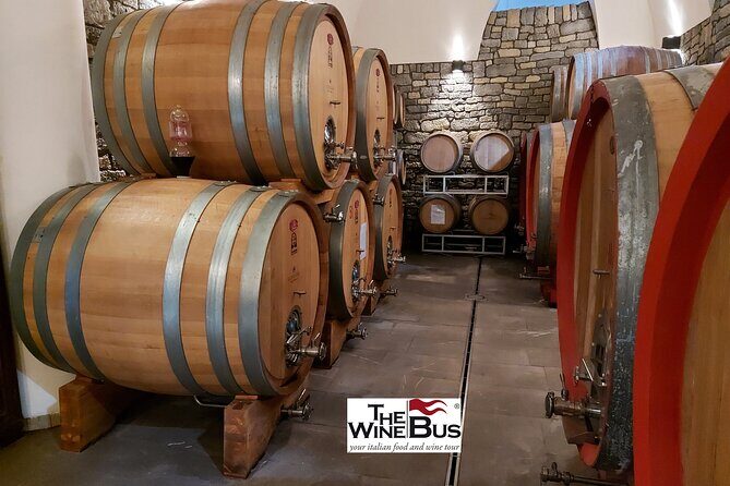 Private Irpinia Wine Tour from NAPLES with sommelier - Stop 1 at Tenuta Donna Elvira: vineyards, cellar, and guided tasting