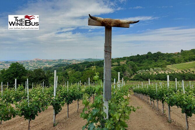 Private Irpinia Wine Tour from NAPLES with sommelier - Feudi di San Gregorio: the estate that brings it home