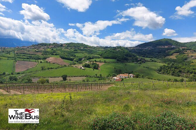 Private Irpinia Wine Tour from POSITANO, AMALFI or RAVELLO - Key takeaways