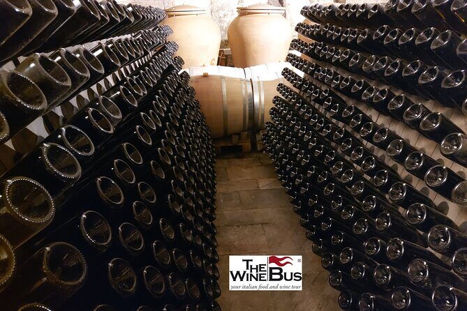 Private Irpinia Wine Tour from Sorrento with sommelier - Customization, special moments, and how flexible the hosts can be