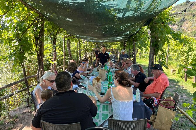 Private Natural Wine Vs Byodinamic and Organic Wine Tour - Lunch tastings: ancestral method vs Charmat, plus farming comparisons