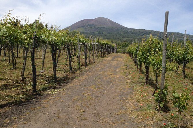 Private Pompeii, Herculaneum and Winery Tour from Naples - Why this Pompeii + Herculaneum combo works in a day