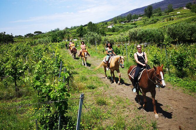 Private Pompeii, Horse Riding & Lunch Tour w/ Pick up included - Vineyard Horseback Riding: An Hour That Changes the Pace