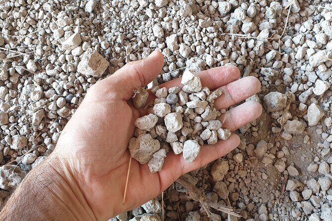 Private Pompeii Tour with Archaeologist & Winery on Mt Vesuvius - Temple of Apollo: a Greek-leaning sacred site with a Vesuvius view