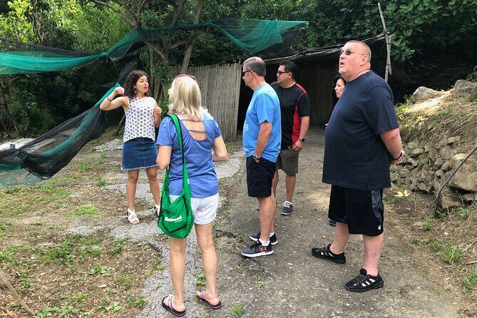 Private Pompeii Tour with lunch and Olive Oil Factory Experience - A few smart booking tips from how Stefania runs the day