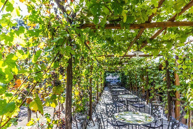 Private Pompeii Tour with Organic Wine Tasting & Lunch - Why Combine Pompeii With Wine in One 4-Hour Block?