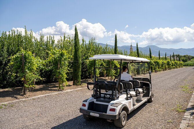 Private Pompeii Tour with Organic Wine Tasting & Lunch - Organic Wine Tasting: What You Should Expect and What Costs Extra