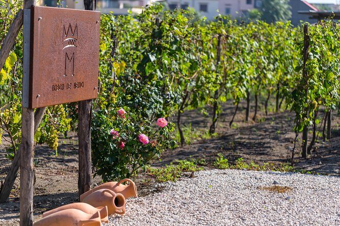 Private Pompeii Tour with Organic Wine Tasting & Lunch - Getting Into Pompeii: Private Time Starting at Porta Marina