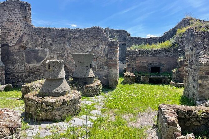 Private Skip The Line Archeo Tour Of Pompeii - Roman baths and temples: daily life, cleaned up and worshipped