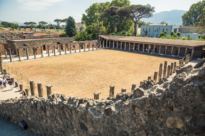 Private Skip-the-Line Pompeii & Mt. Vesuvius Tour from Positano - Pompeii Walking Route: Forum, Baths, Brothel, and Big Houses