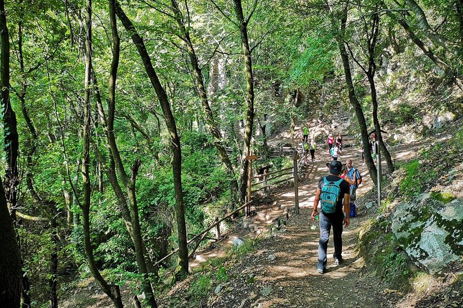 Private Tour: Amalfi Valle delle Ferriere Nature Reserve Walking Tour - Valle delle Ferriere reserve: waterfalls, lemon gardens, and the path to Pontone