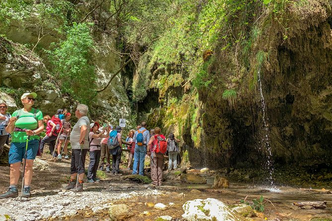 Private Tour: Amalfi Valle delle Ferriere Nature Reserve Walking Tour - Guides make or break the day: who you might meet and what they do