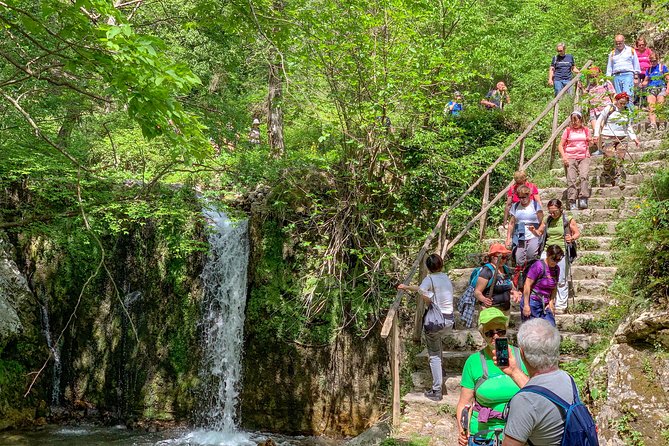 Private Tour: Amalfi Valle delle Ferriere Nature Reserve Walking Tour - Price and value: what $178.84 per person is buying you