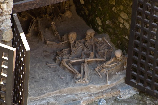 Private Tour: Day Trip Excursion to Herculaneum, Positano and Sorrento - Quick hits
