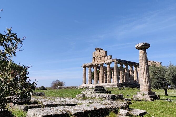 Private Tour from Sorrento/Positano to Paestum and Mozzarella tour - Picking up the day: private transport from Sorrento or Positano