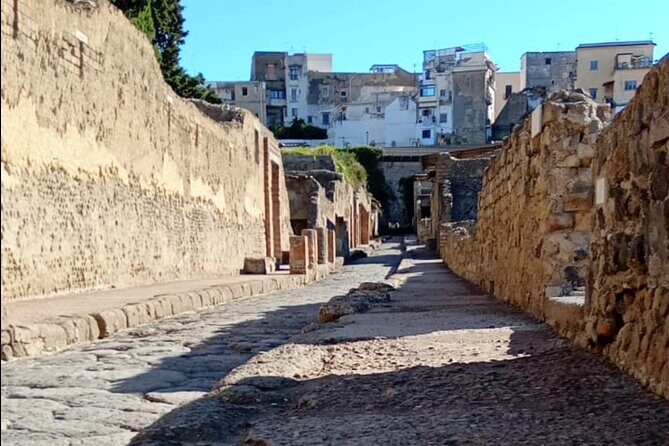 Private Tour in Herculaneum with an authorized guide - Meeting at Ercolano Scavi and planning your timing