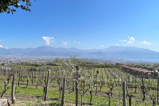 Private Tour in Pompeii Ruins and Pompeii City Center Winery - What’s included (and why it matters for a 7-hour day)