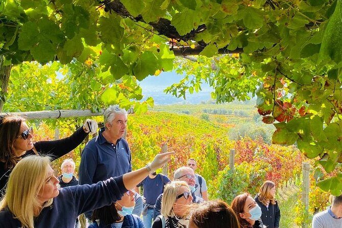 Private Tour in Pompeii Ruins and Pompeii City Center Winery - Should you book this Pompeii and winery tour?