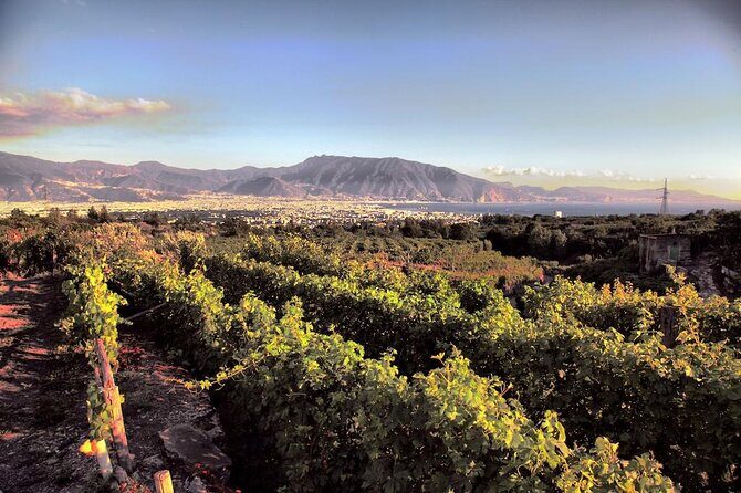 Private Tour in Pompeii Ruins and Pompeii City Center Winery - Pompeii Archaeological Park: getting value from your at least 2 hours