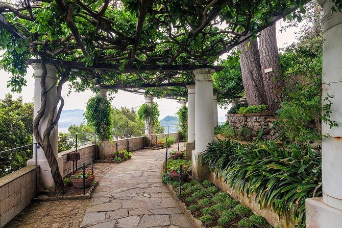 Private Tour of Capri and Anacapri From Sorrento - Augustus Gardens: A Short Stop With Real Context