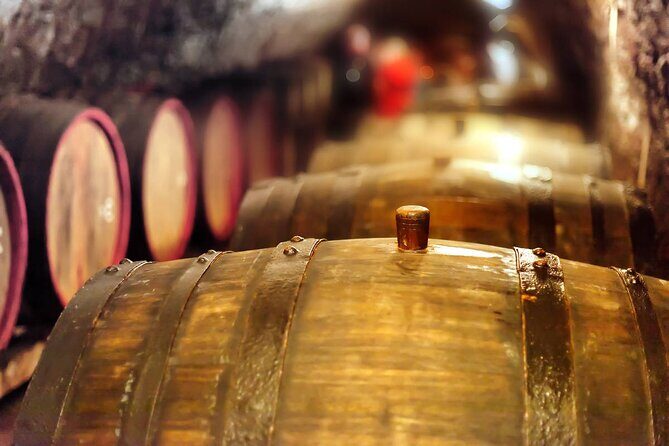Private Tour Pompeii and Winery - Lunch at the Winery: Typical Neapolitan Food, Added If You Want It