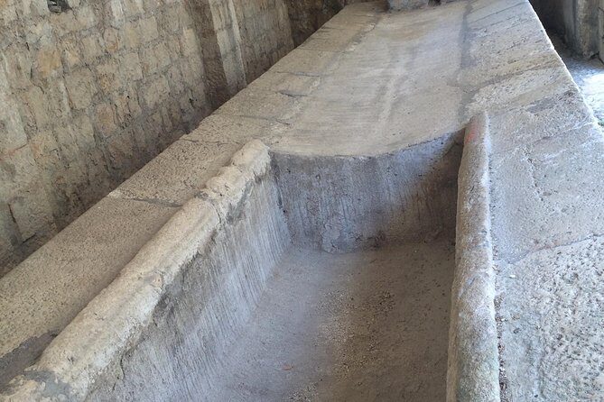 Private Tour Pompeii Herculaneum Vesuvius - Private guide + skip-the-line: the real value