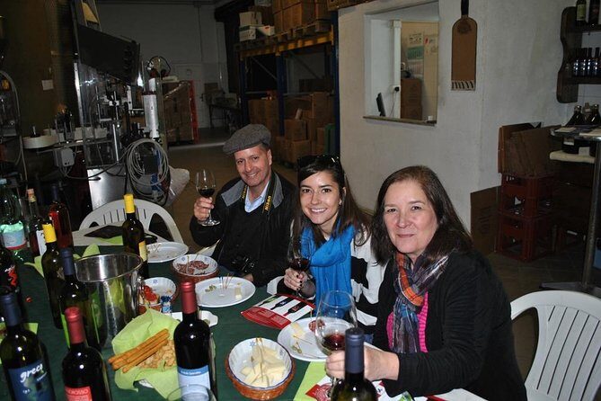 Private tour Pompeii Vesuvius and Winery from Sorrento - Should you book this Pompeii Vesuvius and Winery tour?