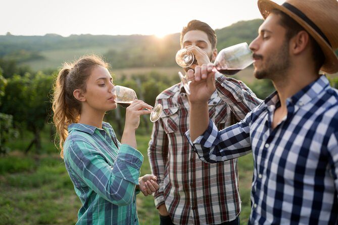 Private Tour: Pompeii & Wine Tasting at the Slopes of Mt Vesuvius - A traditional vineyard on Vesuvius slopes: lunch plus a real tasting