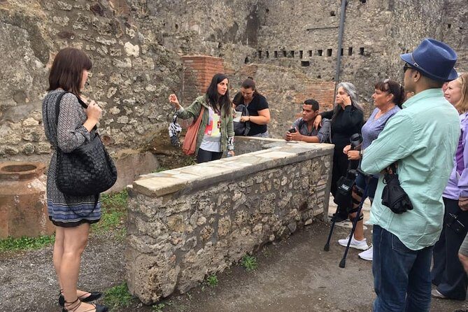 Private Tour: Pompeii & Wine Tasting at the Slopes of Mt Vesuvius - Who this Pompeii and wine tour suits best