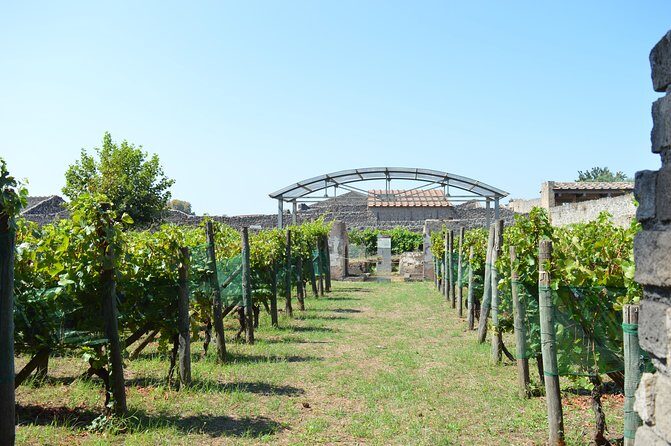 Private Tour: Pompeii & Wine Tasting at the Slopes of Mt Vesuvius - Should you book this Pompeii & Wine Tasting day trip?