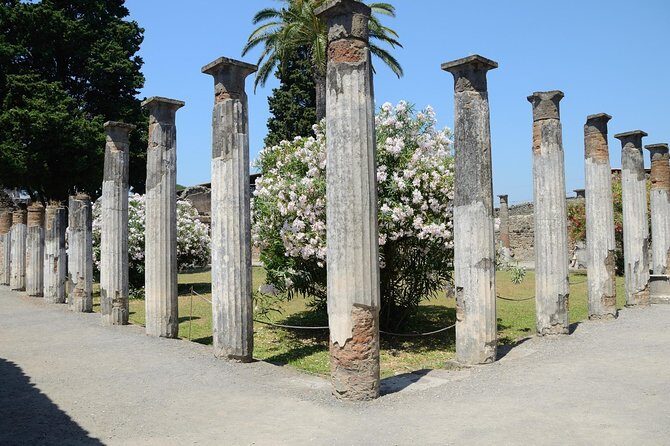 Private Tour Rome to Pompeii in private vehicle or fast train - Casa dei Vettii: A 15-Minute Stop That Still Counts