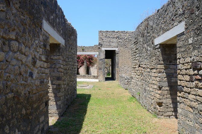 Private Tour Rome to Pompeii in private vehicle or fast train - Price and Value: Is $684.18 Per Person Worth It?