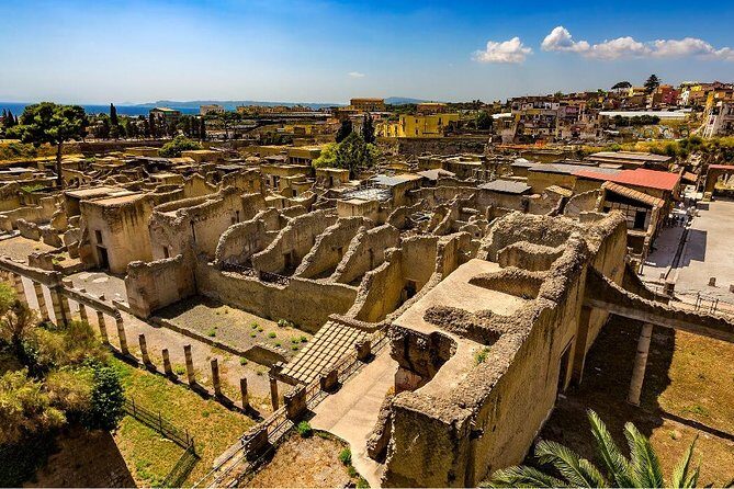Private tour to Pompeii Herculaneum and Vesuvius - Vesuvius National Park: tickets, weather, and getting your climb