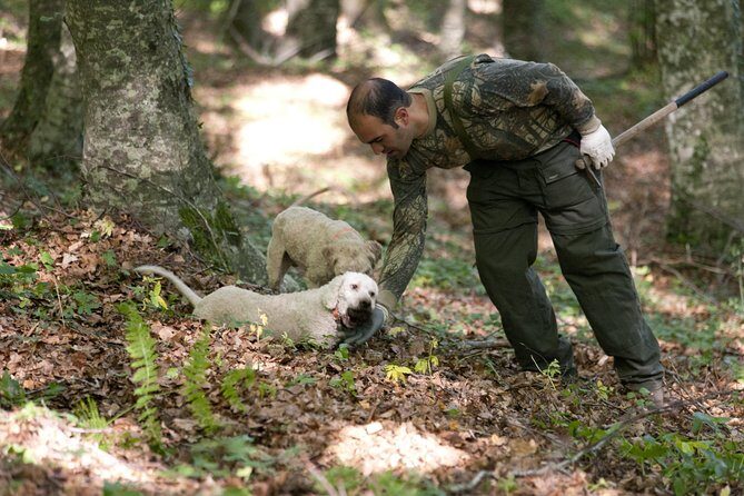 Private Tour: Truffle-Hunting Experience from Naples with Lunch - Meeting the Hunter and the Lagotto Romagnolo Dogs