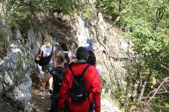 Private Tour: Truffle-Hunting Experience from Sorrento with Lunch - Morning Transfer to Volturara Irpina: The Comfort That Buys You Time