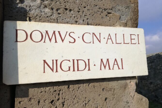 Private Tour with Official Guide through the wonders of Pompeii. - Public Pompeii: Teatro Grande, Forum, Odeon, and the temples