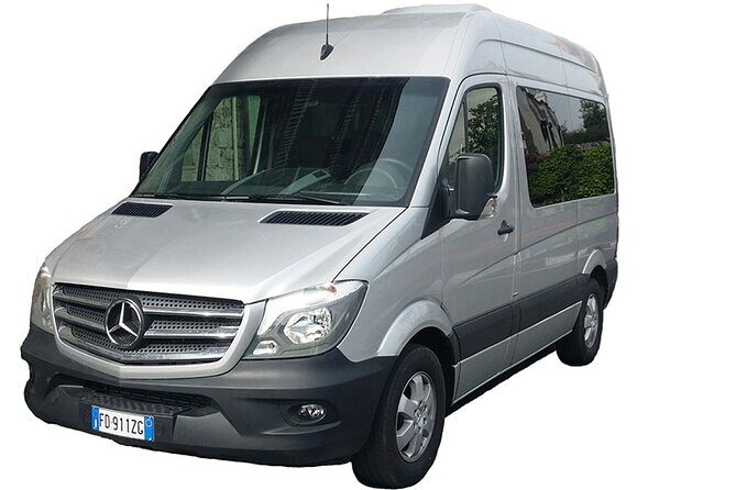 Private transfer from Naples to Rome / Airport Leonardo da Vinci - What to Enter When You Book: Train Service Number, Arrival Time, Hotel Address