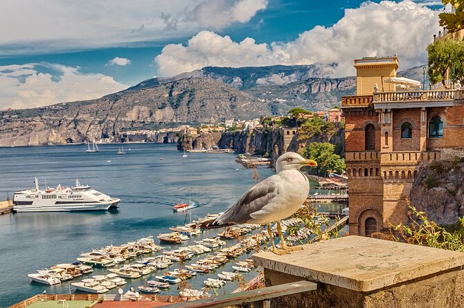 Private transfer from Naples to Sorrento - The ride experience: vehicle comfort plus the human touch